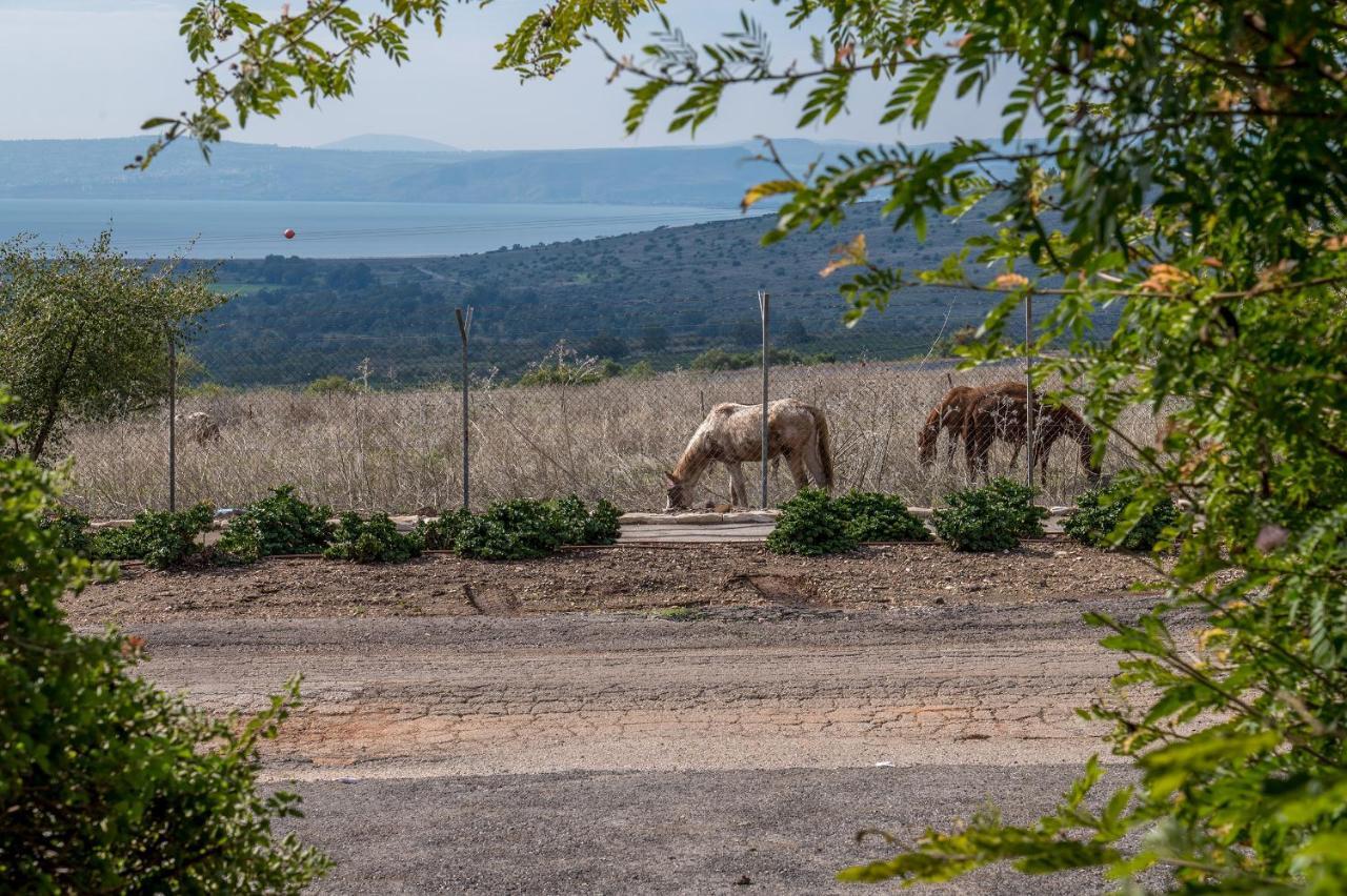 Nof Kinneret Cabins Had Nes Luaran gambar