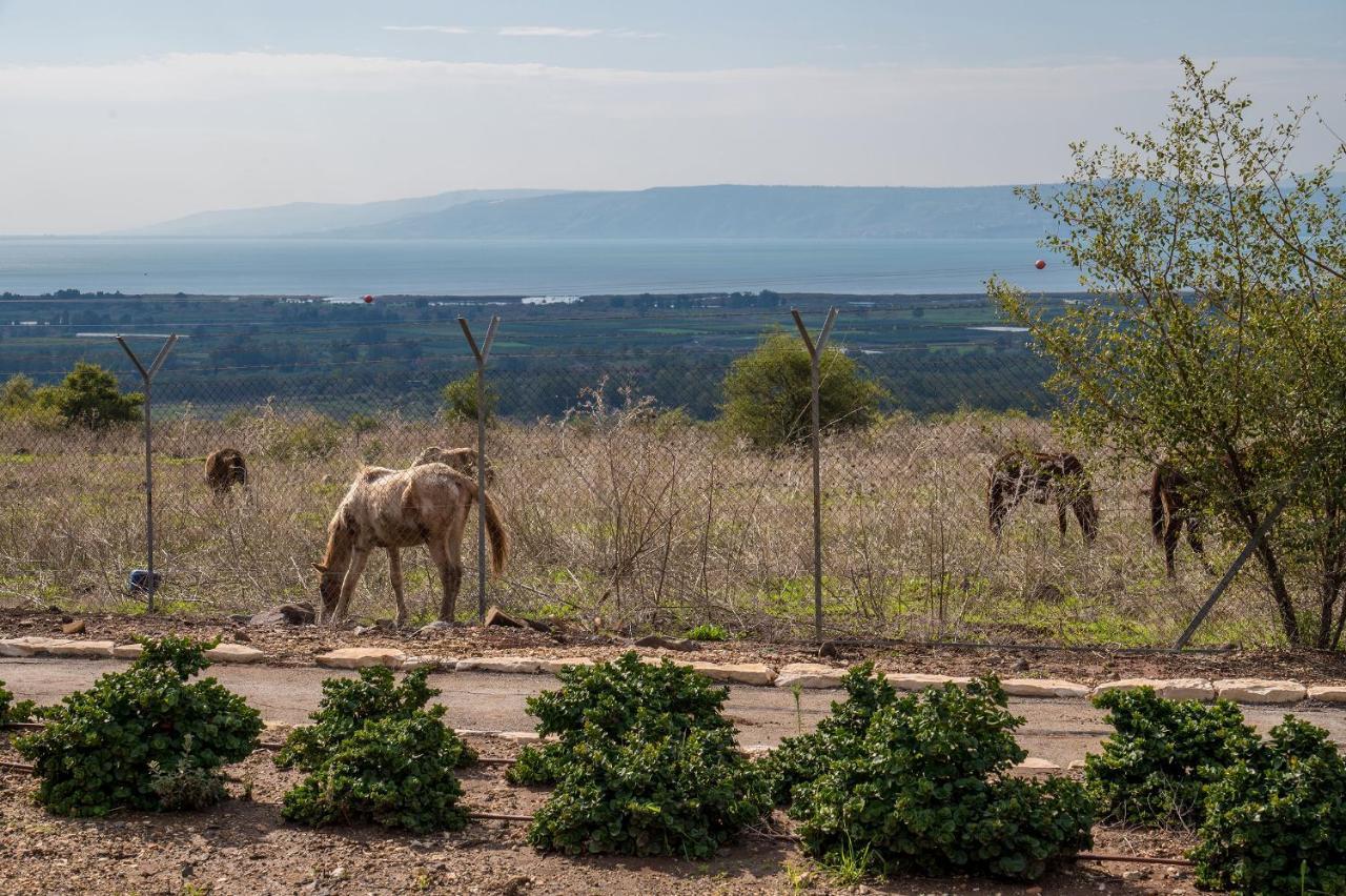 Nof Kinneret Cabins Had Nes Luaran gambar